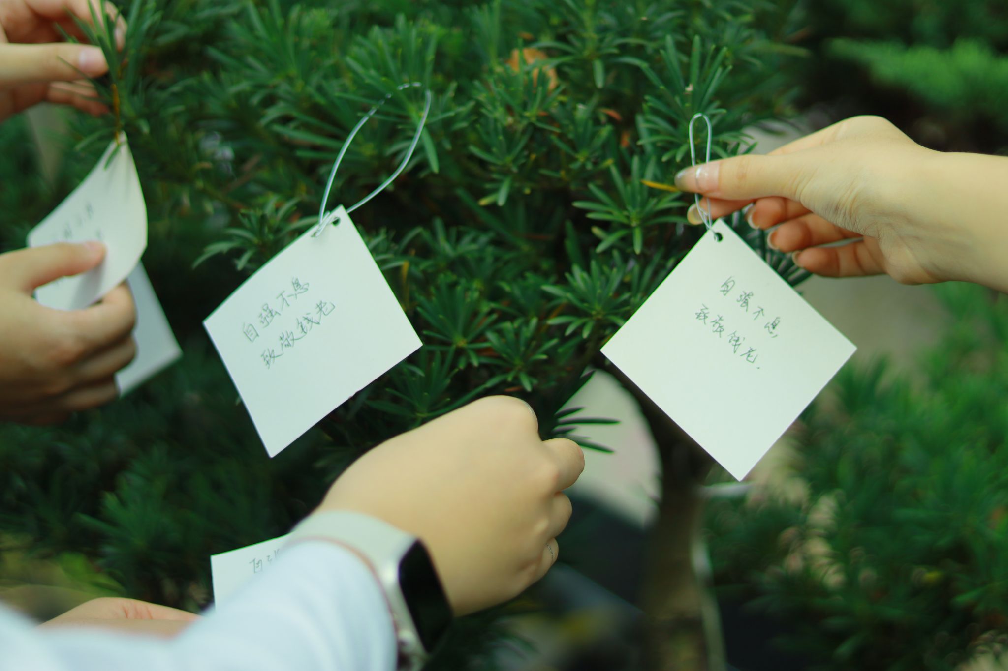 微信图片_20231009182726.jpg 微信图片_20231009182726.jpg